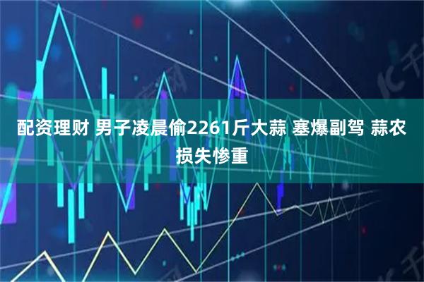 配资理财 男子凌晨偷2261斤大蒜 塞爆副驾 蒜农损失惨重